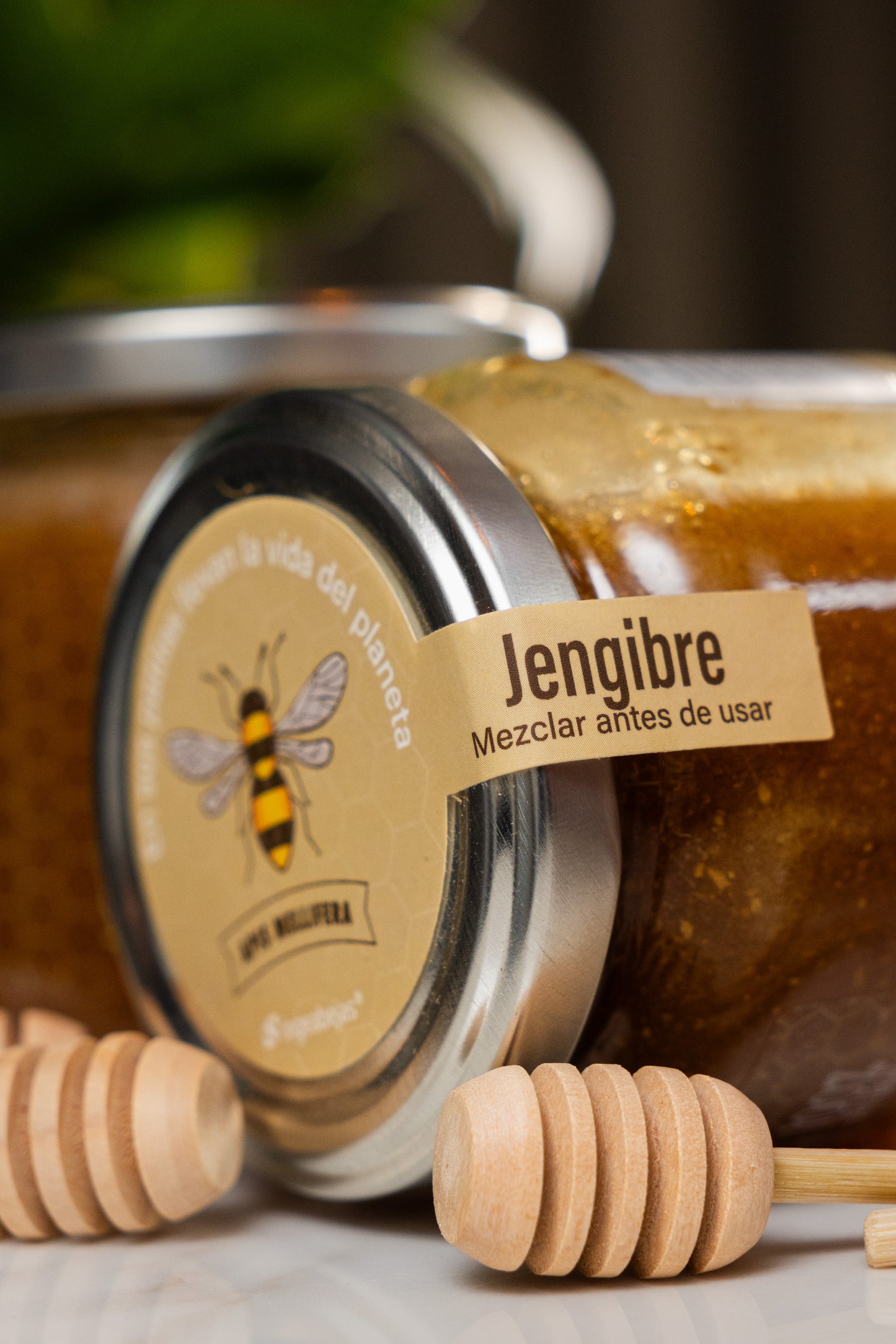 Miel de abejas con jengibre