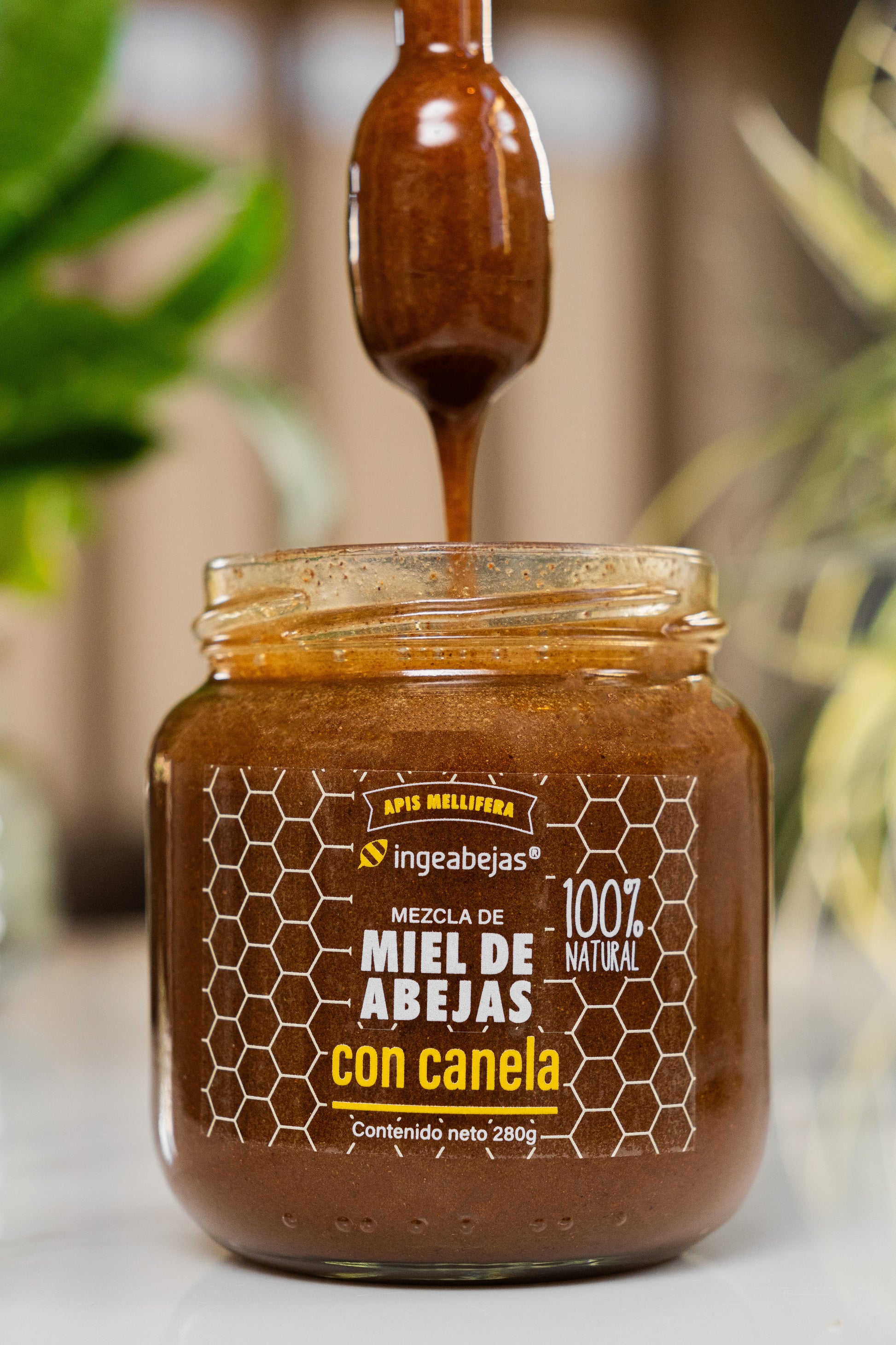 Miel de abeja con canela