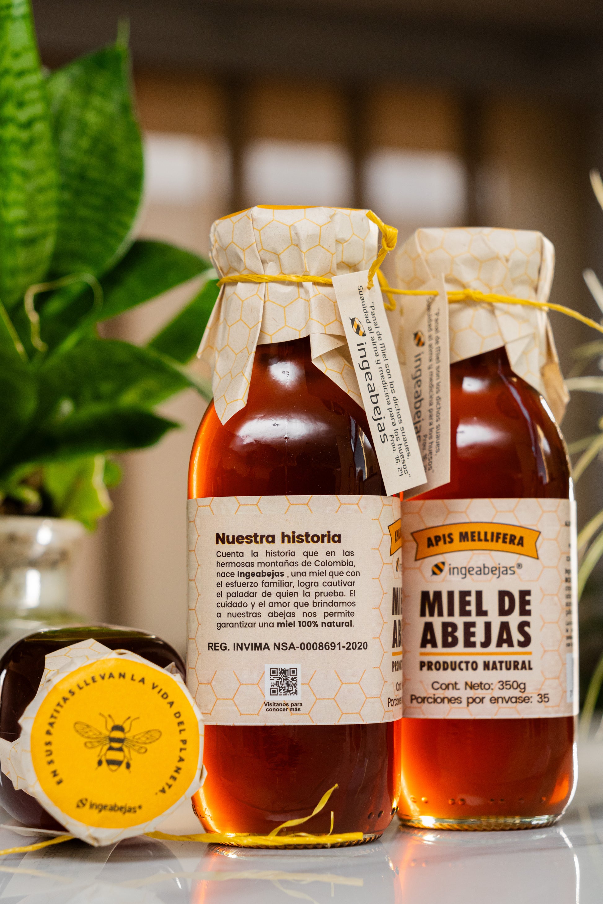 Miel de abejas1